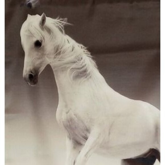 Set of 4 Throw Pillow Covers / NWOT - Picture 9 of 9